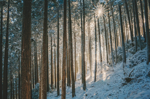 Programma invernale con le guide nel parco delle Orobie