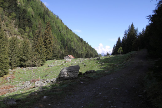 Mercoledì del Parco delle Orobie Valtellinesi